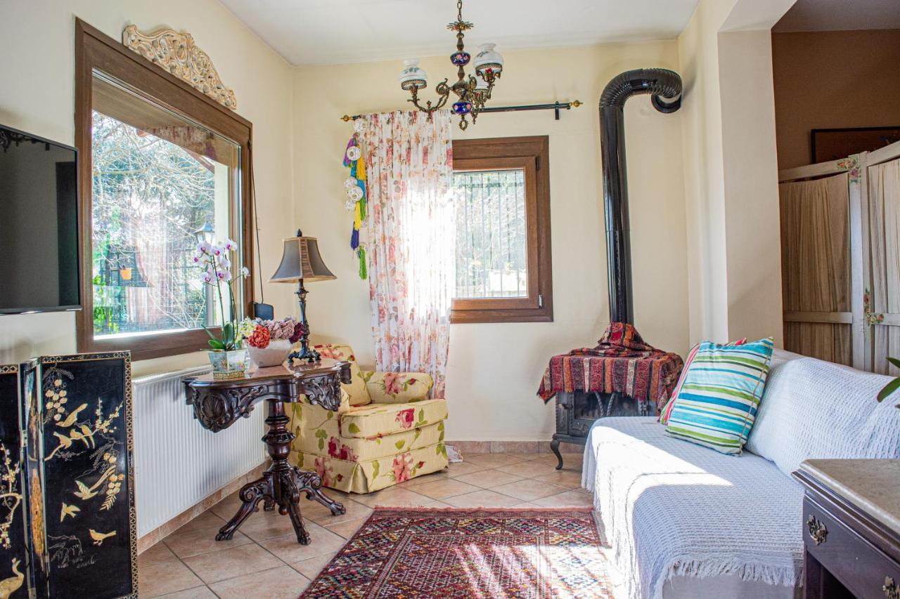 Sofia'S House Apartman PalaiónTsiflíkion Kültér fotó