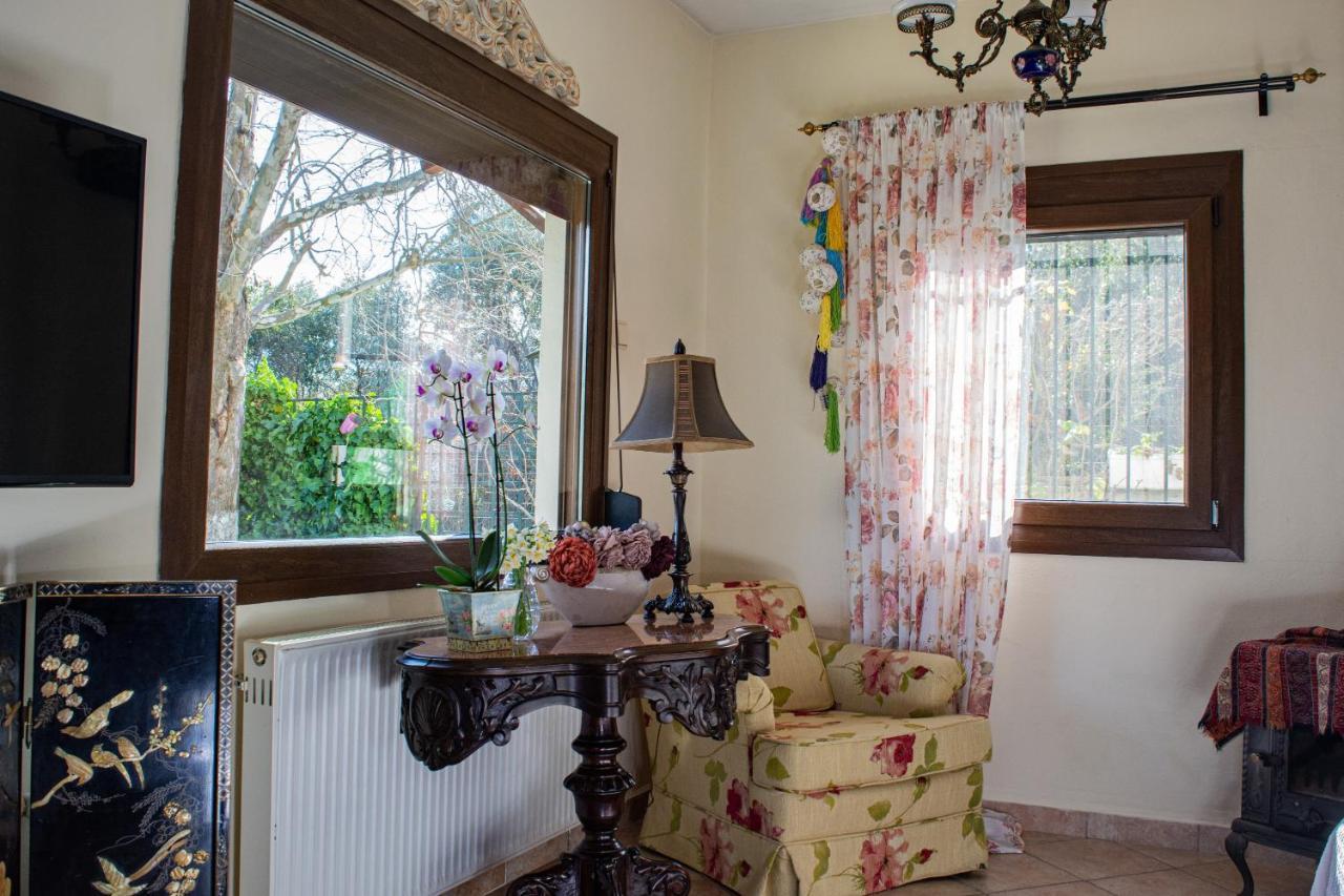 Sofia'S House Apartman PalaiónTsiflíkion Kültér fotó