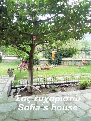 Sofia'S House Apartman PalaiónTsiflíkion Kültér fotó